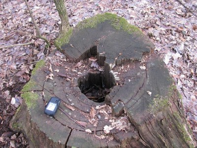 Tatárpincék a Csereoldalon